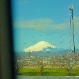 wolliwby profile image
