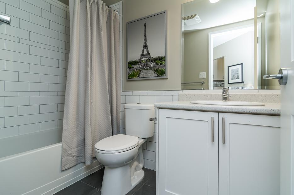 Newly Renovated 1BR/1BA, Skytrain, SFU, Pets OK display photo