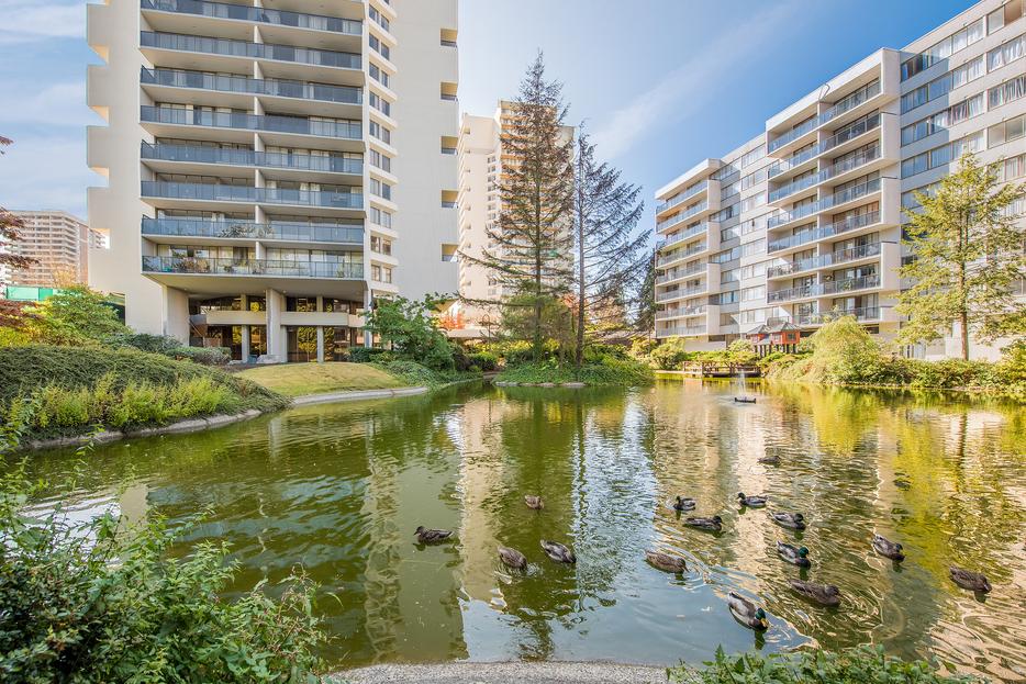Newly Renovated 1BR/1BA, Skytrain, SFU, Pets OK display photo