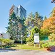 Newly Renovated 1BR/1BA, Skytrain, SFU, Pets OK thumbnail image 2