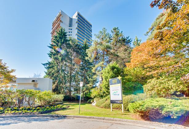 Newly Renovated 1BR/1BA, Skytrain, SFU, Pets OK image 2