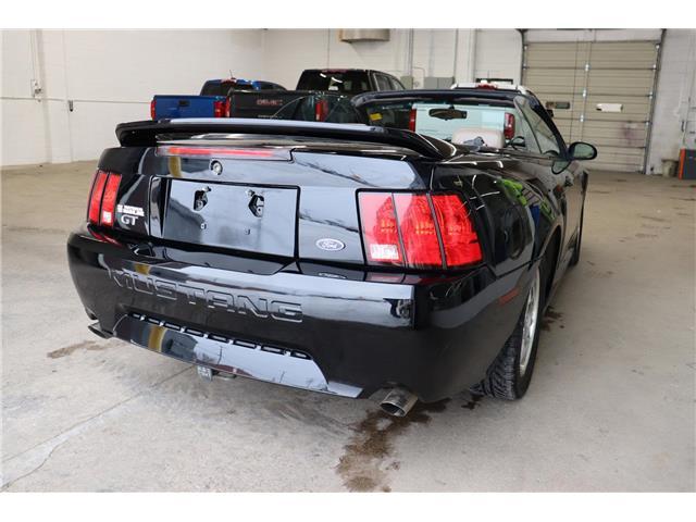 2000 Ford Mustang GT 2dr Convertible display photo