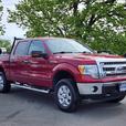 2013 Ford F-150 thumbnail image 1