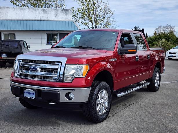 2013 Ford F-150 image 3