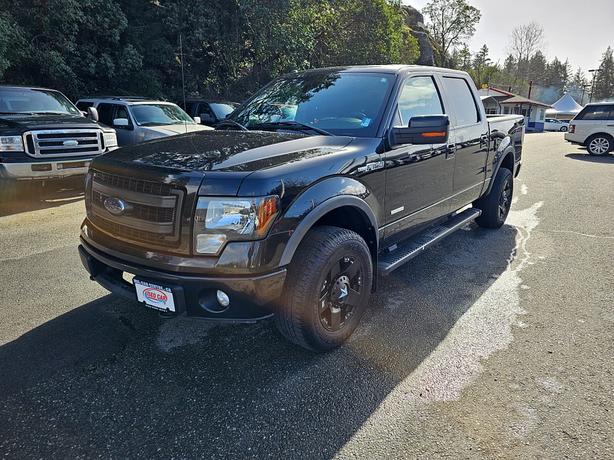 2013 Ford F-150 FX4 image 2