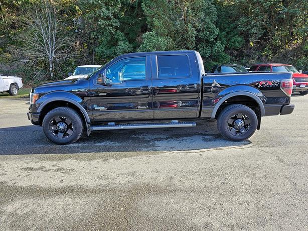 2013 Ford F-150 FX4 image 6