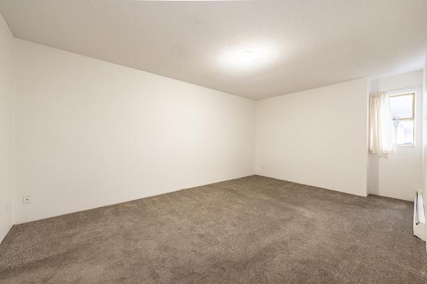 Seaport Apartments - 1 Bedroom - Available Aug. 15 image 6