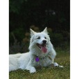 Arlo and Mat Snapshots profile image