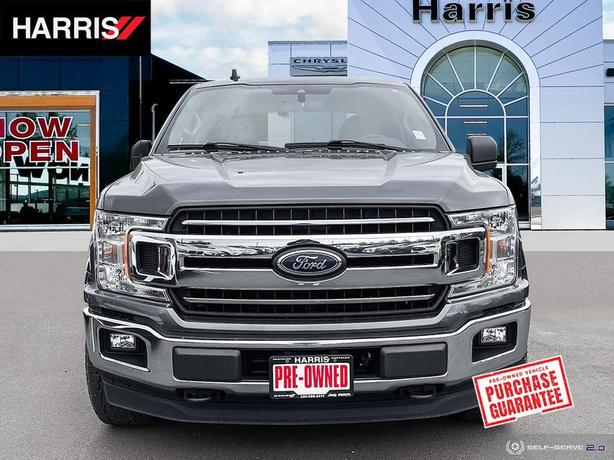 2019 FORD F-150 XL image 2