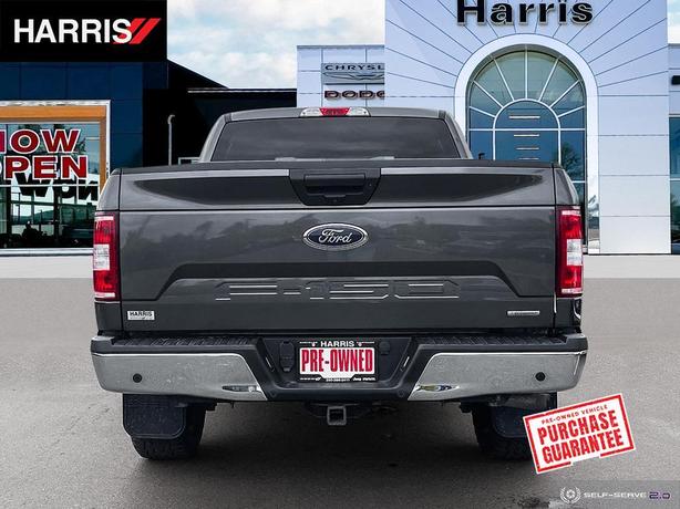 2019 FORD F-150 XL image 7