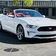 2019 Ford Mustang Gt Premium thumbnail image 1