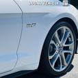 2019 Ford Mustang Gt Premium thumbnail image 4