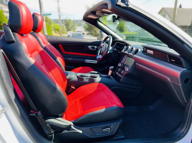 2019 Ford Mustang Gt Premium image 5