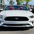 2019 Ford Mustang Gt Premium thumbnail image 8