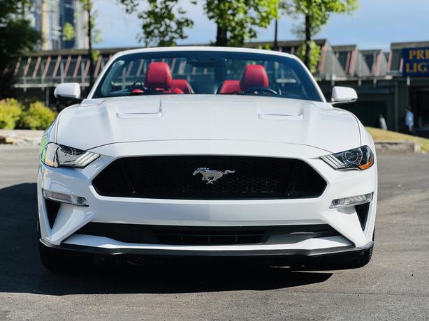2019 Ford Mustang Gt Premium image 8