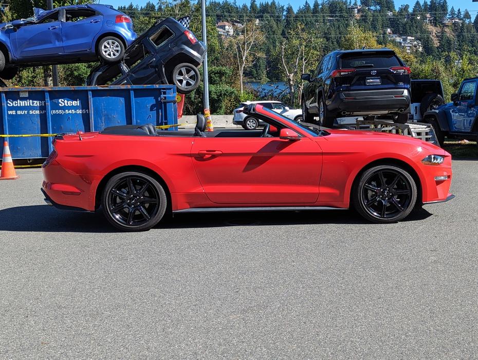 2019 Ford Mustang Premium Convertible - No Accidents, Leather, NAV display photo