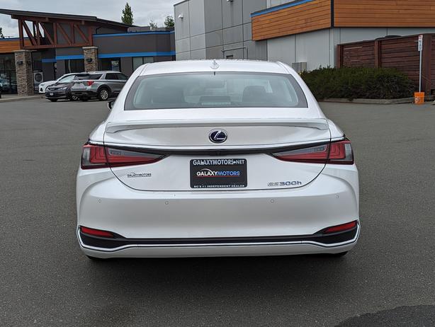 2021 Lexus ES 300h - No Accidents, Hybrid, Sunroof, Navigation image 7