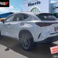2023 LEXUS NX Hybrid NX 350h AWD  |  Low KM! thumbnail image 6
