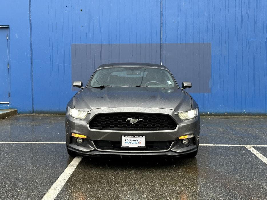 2015 Ford Mustang display photo