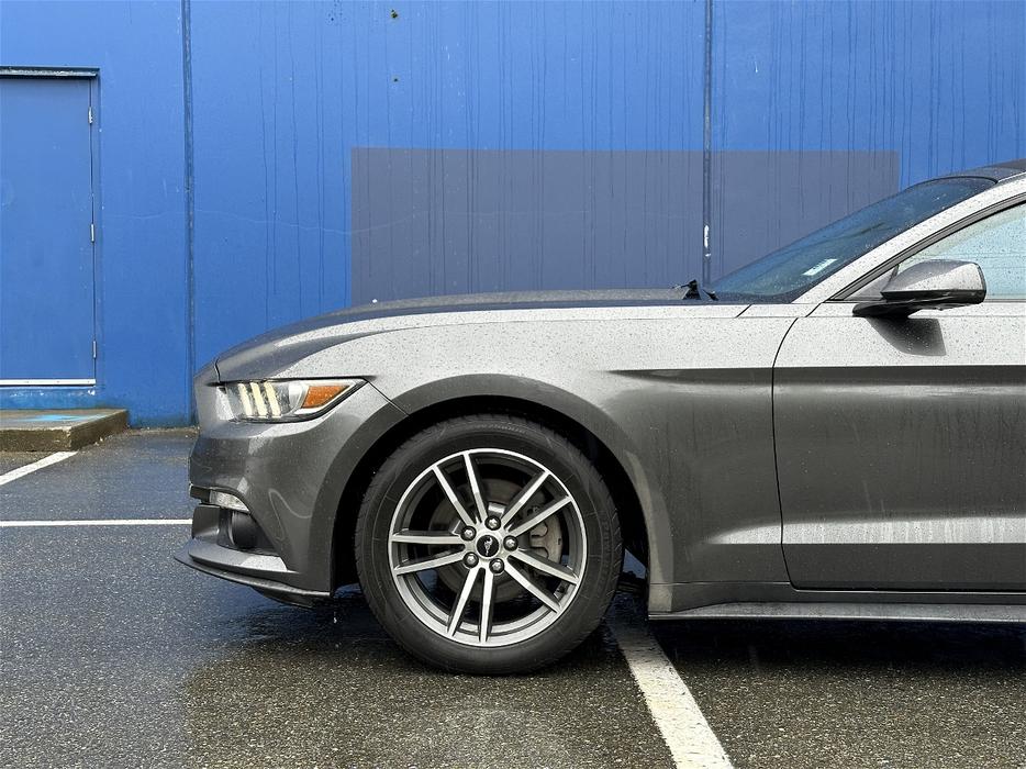 2015 Ford Mustang display photo