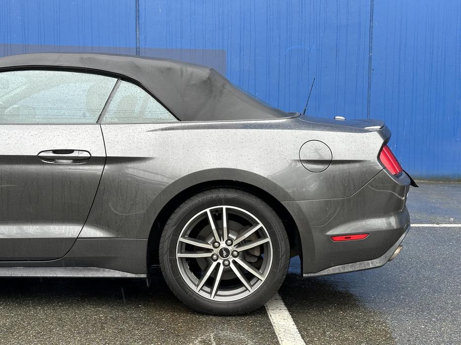 2015 Ford Mustang display photo
