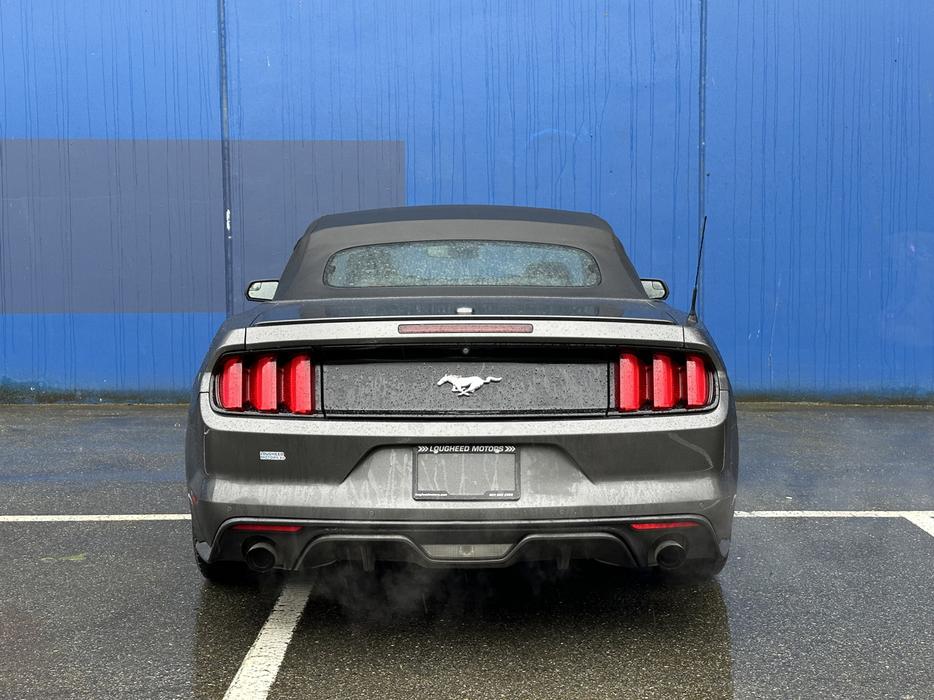 2015 Ford Mustang display photo