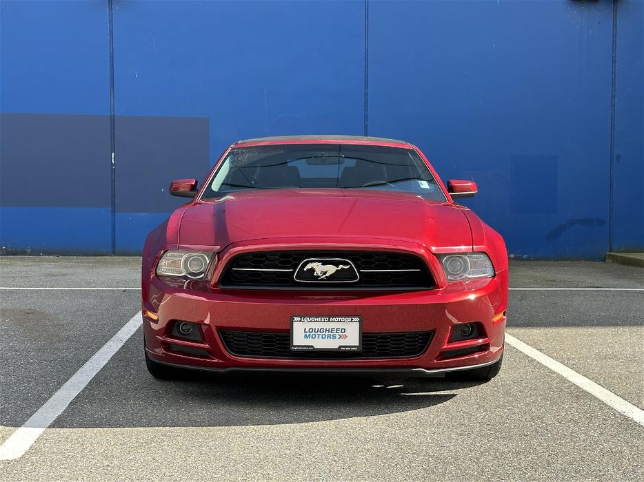 2014 Ford Mustang display photo
