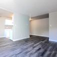 1 bedroom Chelsey Apartments thumbnail image 3