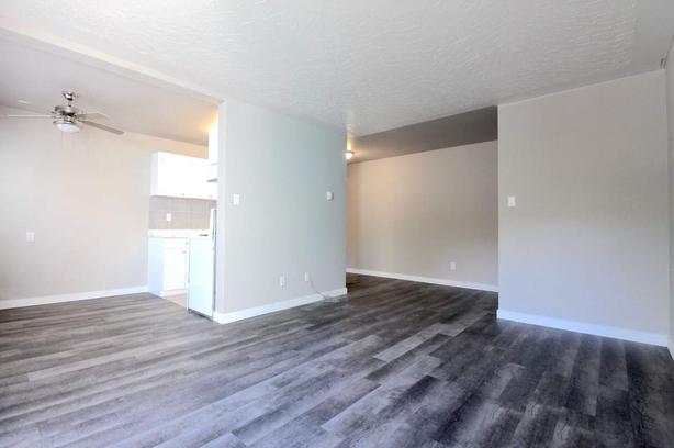 1 bedroom Chelsey Apartments image 3