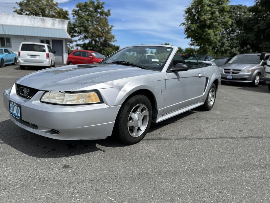 2000 Ford Mustang display photo