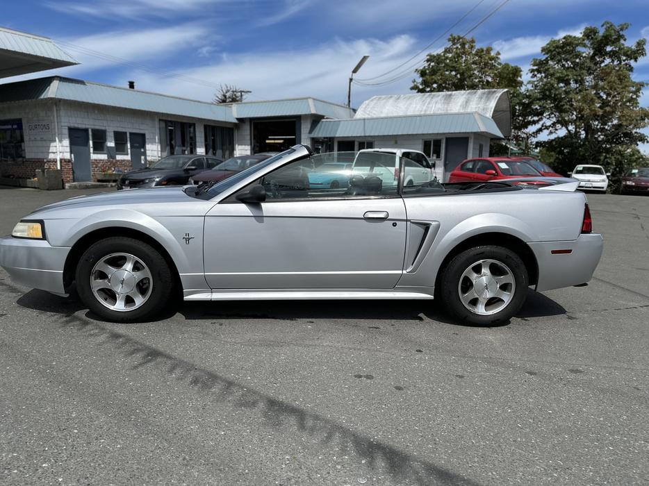 2000 Ford Mustang display photo