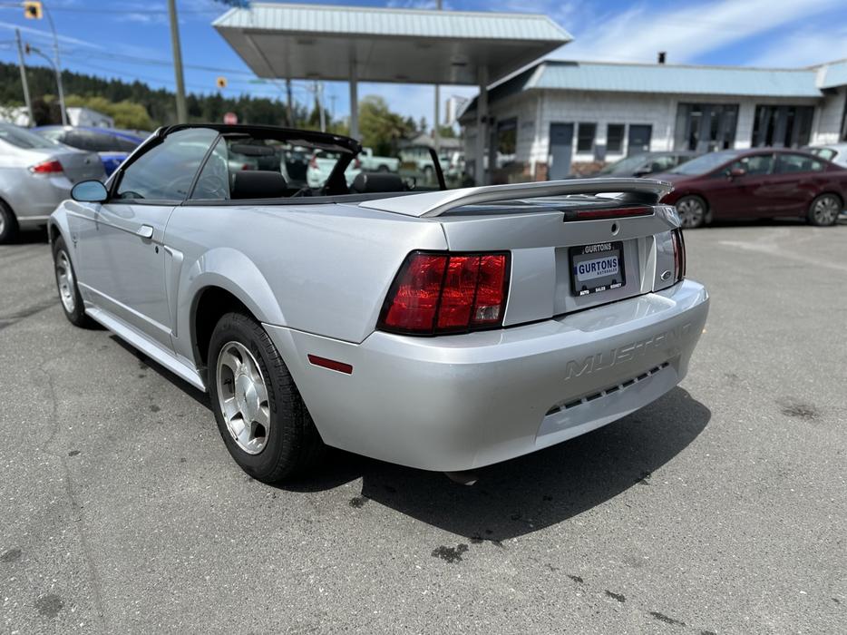 2000 Ford Mustang display photo