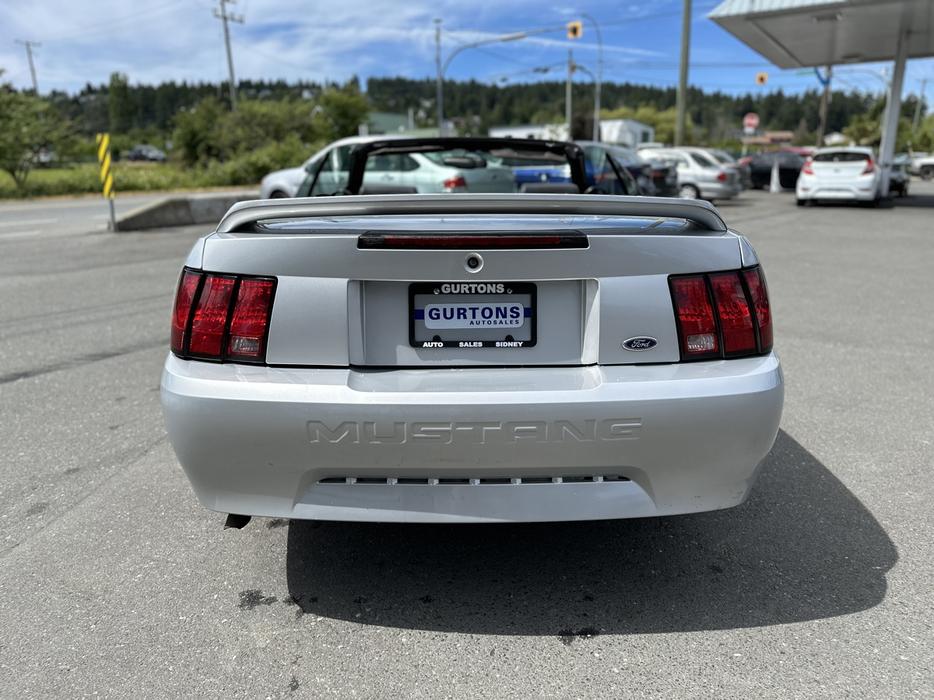 2000 Ford Mustang display photo