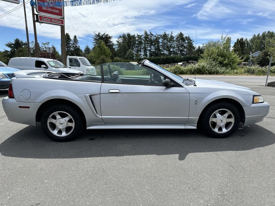 2000 Ford Mustang display photo