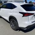 2019 Lexus NX 300 thumbnail image 5
