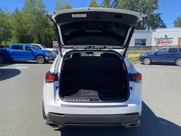 2019 Lexus NX 300 image 7