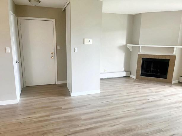 Bachelor Hermitage Village Apartments image 3