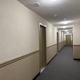 Fully renovated 1 bdr apt -brand new all-central thumbnail image 5