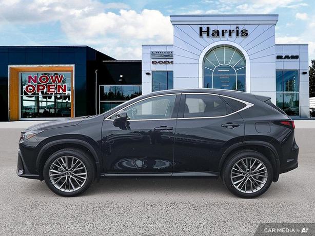 2022 Lexus NX 350 AWD | Power Sunroof | Heated Seats! image 3