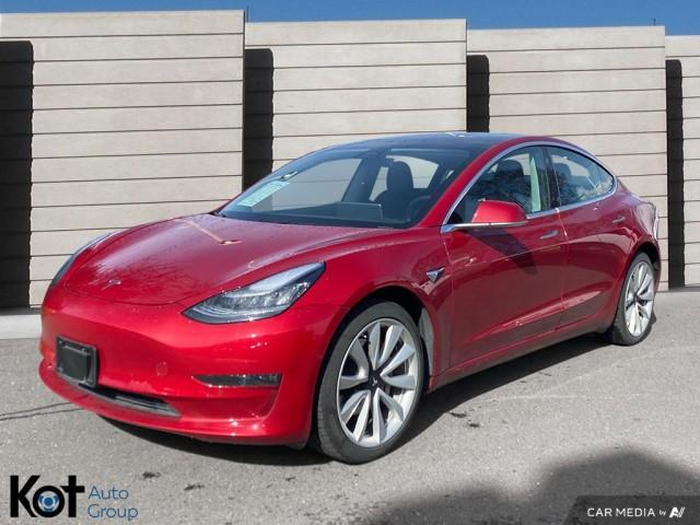 2019 Tesla Model 3 Standard Range Plus - NO ACCIDENTS & ONE OWNER! WHAT A BEAUTY display photo