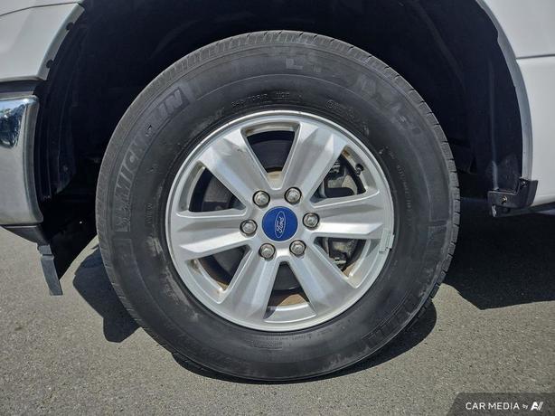 2019 Ford F-150 RWD Standard Pickup | Back Up Camera | No Reported Accidents! image 6