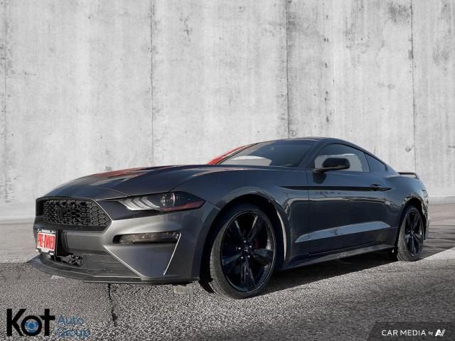 2022 Ford Mustang EcoBoost | Block Heater | Bluetooth | Auto | 2.3L EcoBoost display photo
