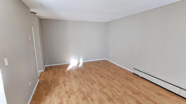 2 bedroom Pacific Park Apartments image 7