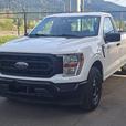 2022 Ford F-150 thumbnail image 1