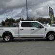 2023 Ford F-150 XLT 4WD -Pro Trailer Backup Assist & Power Drivers thumbnail image 5