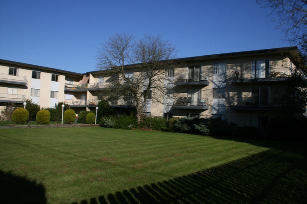 Welcome to Evergreen Place image 2