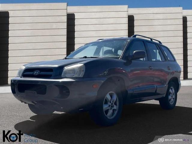 2006 HYUNDAI SANTA FE display photo