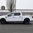 2024 Ford F-150 STX - No Accidents, Navigation, BlueTooth thumbnail image 2