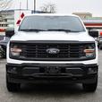2024 Ford F-150 STX - No Accidents, Navigation, BlueTooth thumbnail image 7