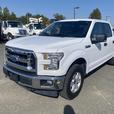 2017 Ford F-150 XLT SuperCrew 5.5-ft. Bed 4WD thumbnail image 1
